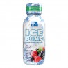FA Ice Pump Shot - 120ml forest fruit