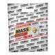 Fitmax Mass Active - 2000g white chocolate