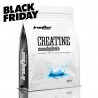 IronFlex Creatine Monohydrate - 1000g natural