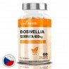 True Health Boswellia Serrata 600mg - 90 caps. vegan