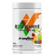 IronFlex Beta - Alanine - 500g fruit punch