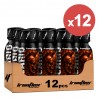 IronFlex Sicario Pre-workout shot - 120ml mango (Package x12)